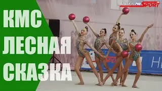 Лесная Сказка КМС Мячи (4К)