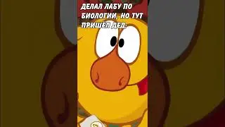 СЛУЧАЙ С ДЕДОМ: 