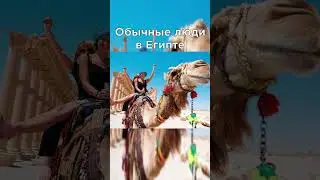 Успеть за 50 дней 