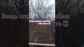 30 марта 2024 г. #залетитврек #ноги