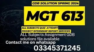 mgt613 GDb solution Spring 2024