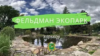 Фельдман Экопарк - 365 дней счастья. Харьков сегодня