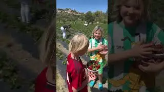Вот такой счастливый семейный денёк♥️