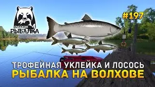 Трофейная Уклейка и Лосось. Рыбалка на Волхове - Русская Рыбалка 4 