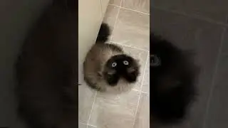 you've been where... with who?!