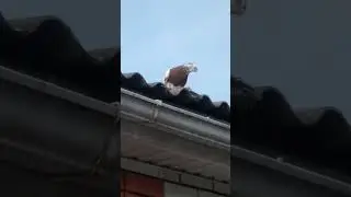 3.01.2024 г.