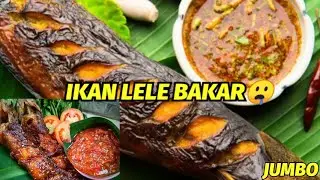 PULKAM LANGSUNG BAKAR IKAN LELE JUMBOO🤤