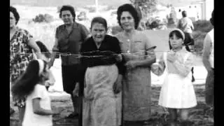 Un rosal de flores chiquititas