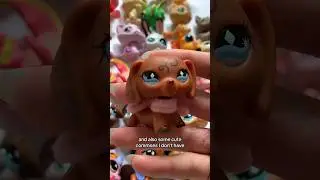You won’t believe what my package came in… #lps #littlestpetshop #lpsunboxing #lpstube #lpstuber