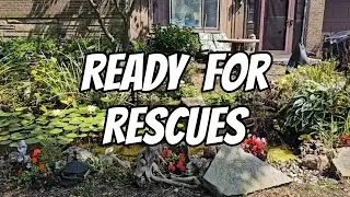 Ready for Rescue
