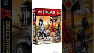This Is The Oldest LEGO Ninjago Book|#ninjago #legoninjago #ninjagominifigures #ninjago2011 #shorts