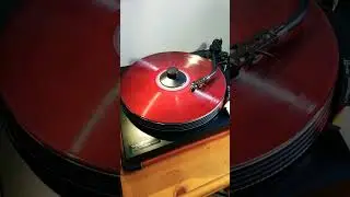 #simpleminds