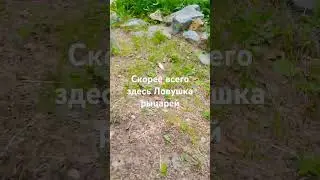 20 июля 2024 г.