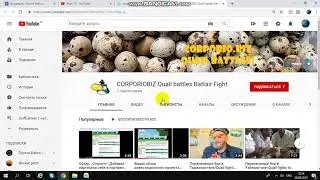 Обзор и отзывы от пользователя платформы corporio.biz
