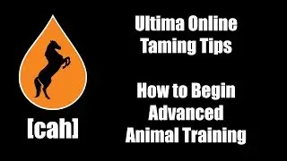 Ultima Online - UO-CAH Taming Tips - How To Begin Advanced Animal Training