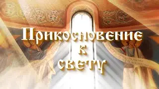 «Прикосновение к свету» за 02.11.2024. Гость епископ Стефан, викарий Патриарха Сербского