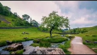 Relaxing Stream and Birdsong Sounds