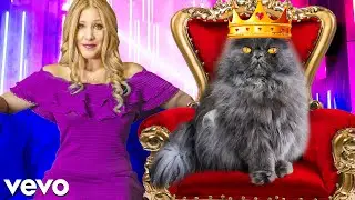 So I Made a Music Video for My Cat... *funny*