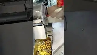 Máquina para cortar papas fritas para negocio 