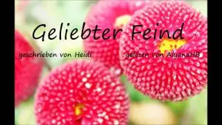 Geliebter Feind (FF) - Kapitel 35 (von Heidi, gelesen von AiyanaHB)