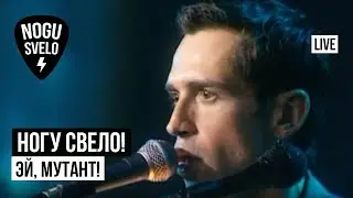 Ногу Свело! - Эй, мутант! (Live). Концерт 