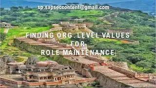 Finding Org. Values in IMG (old video)