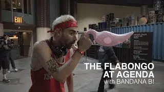 Flabongo at Agenda 2017