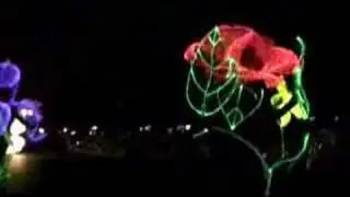エレクトリカル パレード　ドリームライツ Electrical Parade Dreamlights #1