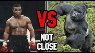 Mike Tyson vs. Gorilla: The Fight of the Century!