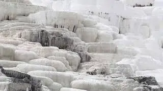 Mammoth Hot Springs - Yellowstone National Park