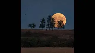 [free] indie rock / surf curse / alternative type beat 
