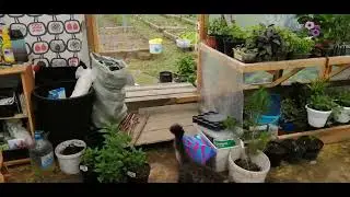 Пройдемся по красоте!  Рабочие моменты. Ничего не успеваю.......