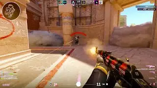 The guy on the enemy team be like