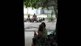 Куда мы катимся!!!??? Секс. Порно. Эротика.