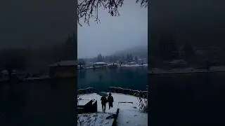 Reliable Facts | Snow Falling video | Winter Snow White #sunset #travel #beach #ocean #freemusic