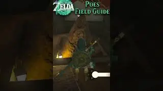 Poes guide