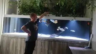 состояние населения и аквариума на 09.06.2022