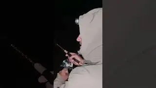 Поклёвка КАРАСЯНДРА 🤣