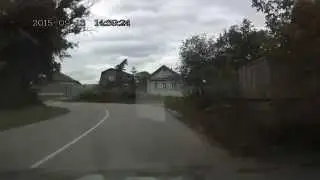 Нежданчик за поворотом
