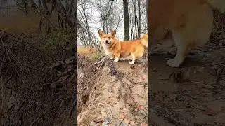 Уплыл мячик, не достать его