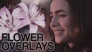 FLOWER OVERLAYS