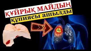 ҚҰЙРЫҚ МАЙДЫҢ сіз білмейтін құпиясы қандай? Құйрық майдың таптырмас емі.