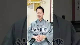 How Babies Fight Sumo 