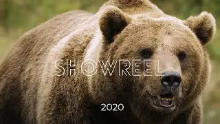 FASTFOKUS - SHOWREEL - 2020 - 4K