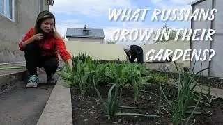 What Russians Grow in Their Gardens?