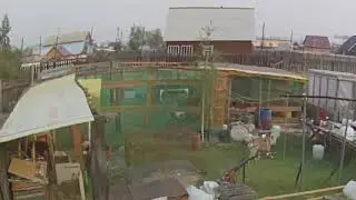 Собаки напали