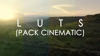 LUTS para PREMIERE GRATIS (PACK CINEMATIC)