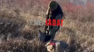 На двух стульях не усидишь.