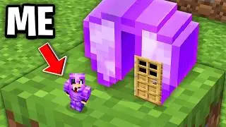 Minecraft but What’s Inside This?