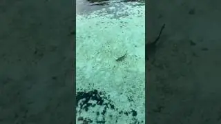 Maldivler’de Birlikte Olmak İstediğin Kankana Yolla!